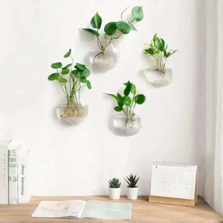 Simple Glass Wall Planter - Modern Flower Vase