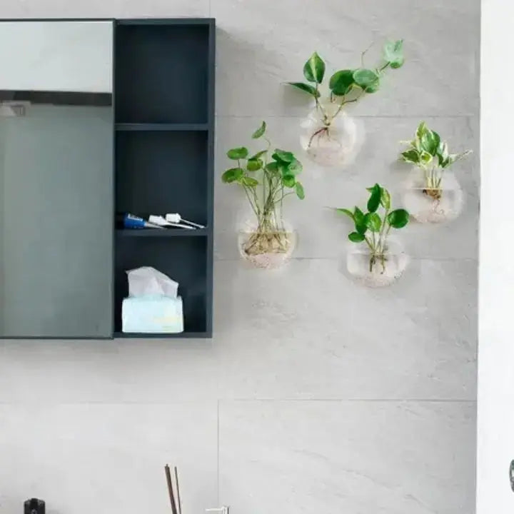 Simple Glass Wall Planter - Modern Flower Vase