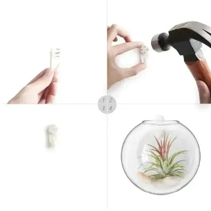 Simple Glass Wall Planter - Modern Flower Vase
