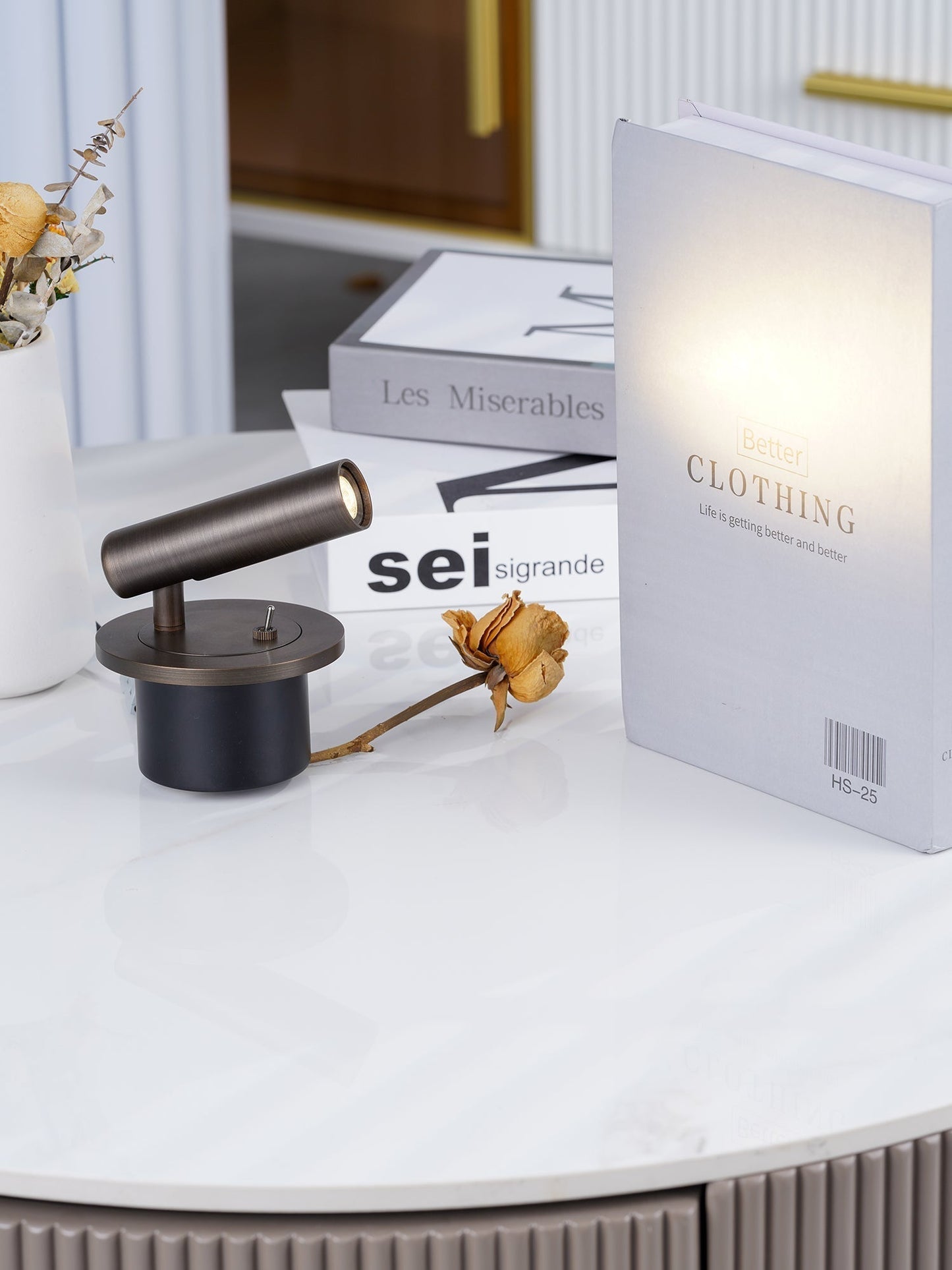 Classic LED Wall Light Fixture