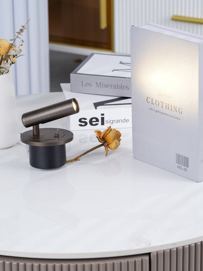 Classic LED Wall Light Fixture