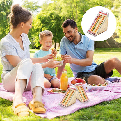 Compact Triangle Lunch Box