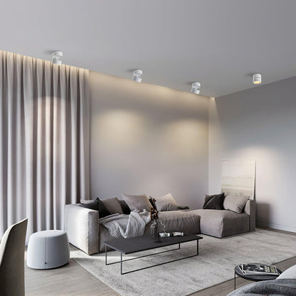 Adjustable Modern LED Ceiling Spotlight