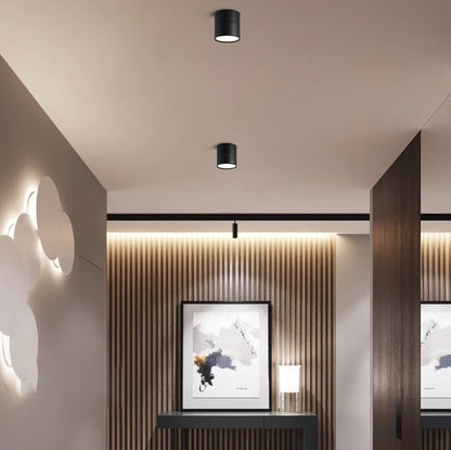 Adjustable Modern LED Ceiling Spotlight