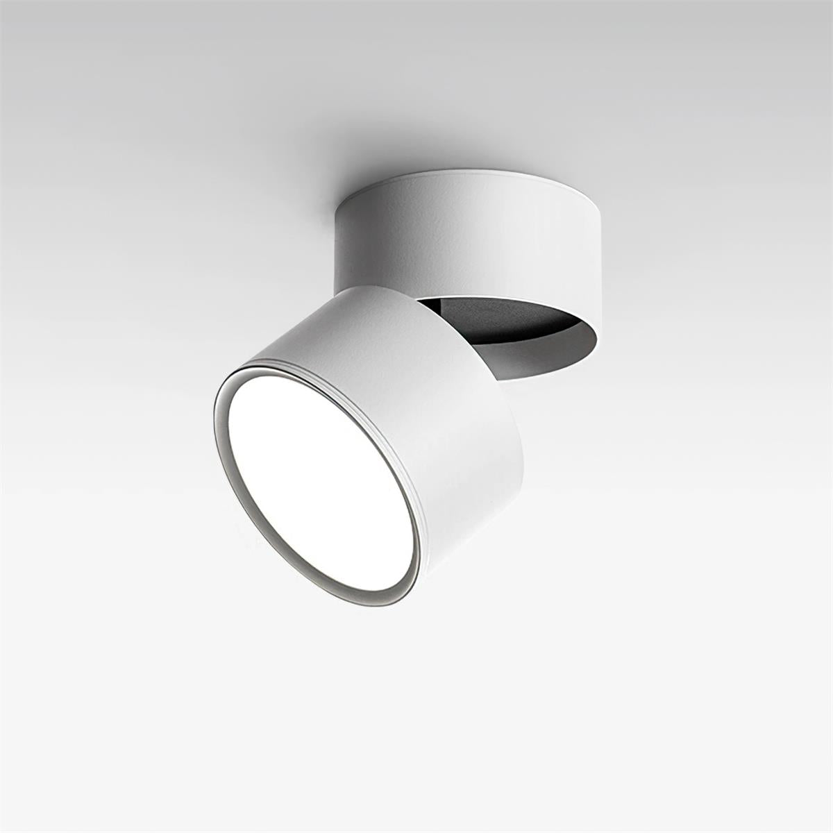 Adjustable Modern LED Ceiling Spotlight
