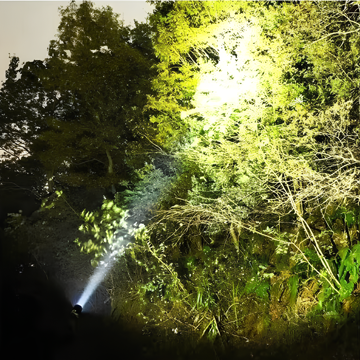 Bright Rechargeable LED Torch Light