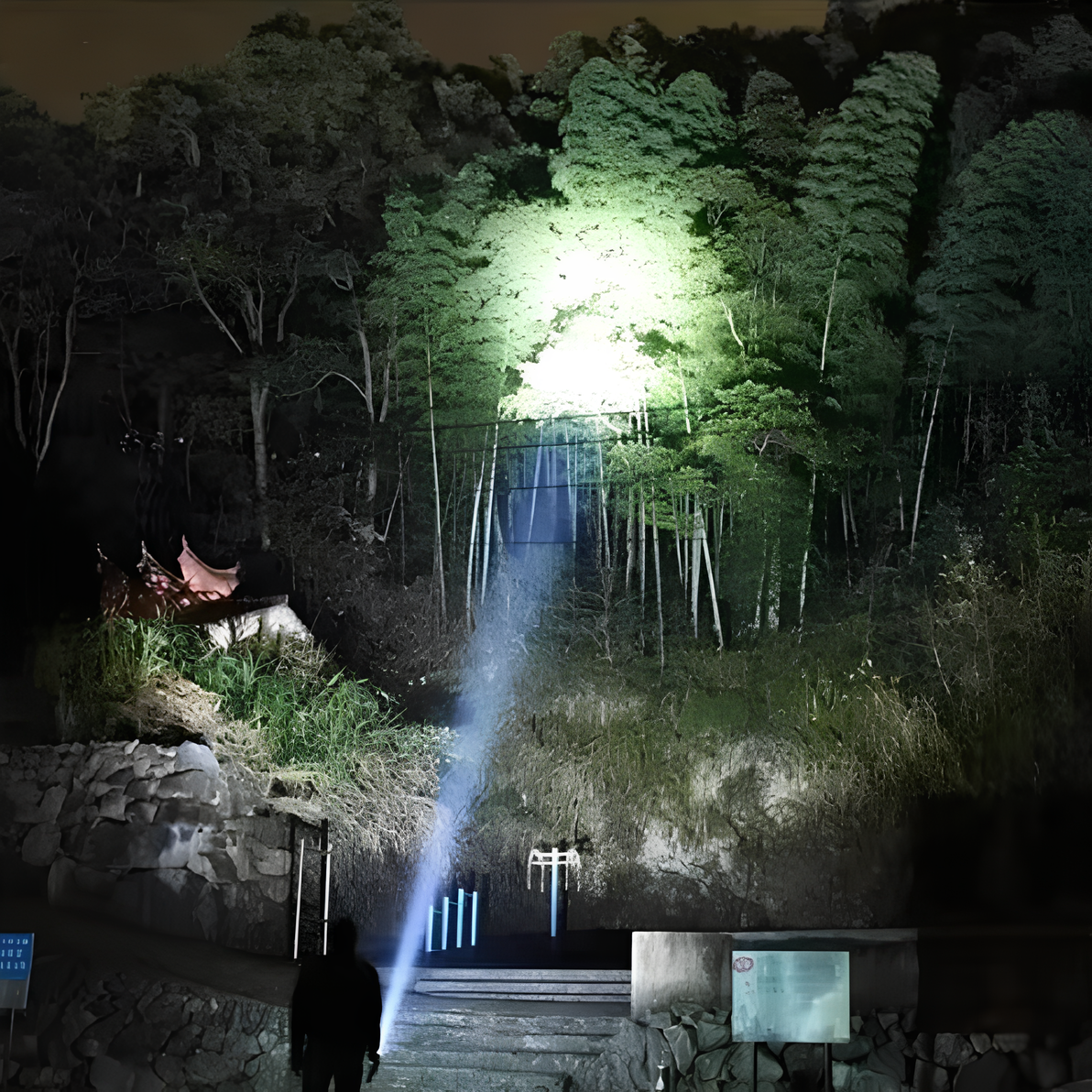 Bright Rechargeable LED Torch Light