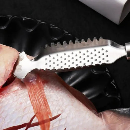 Easy Clean Stainless Steel Fish Scaler