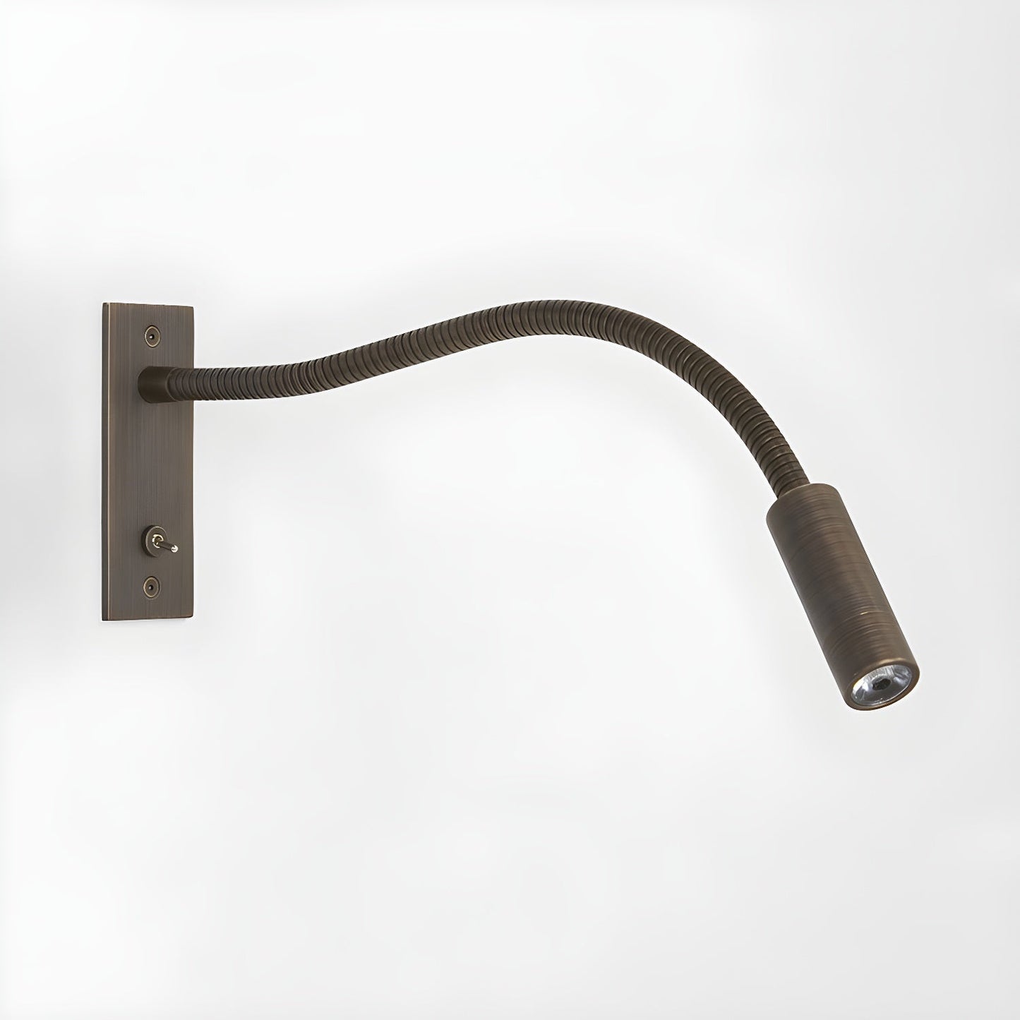 Adjustable Arm Wall Light Fixture