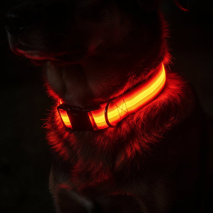 Visible LED Dog Collar with Adjustable Strap
