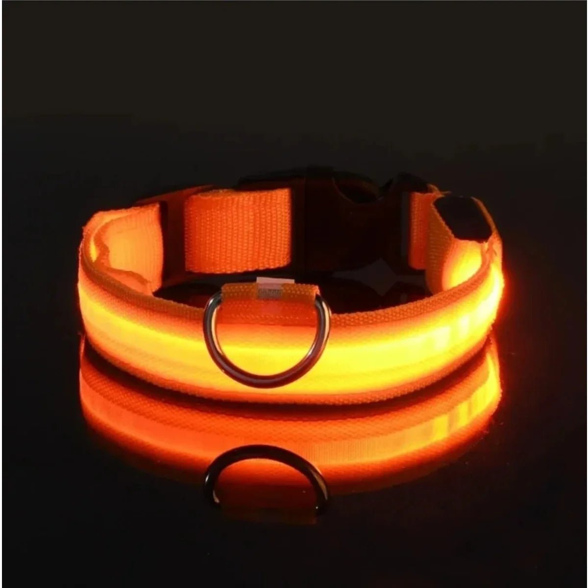 Visible LED Dog Collar with Adjustable Strap