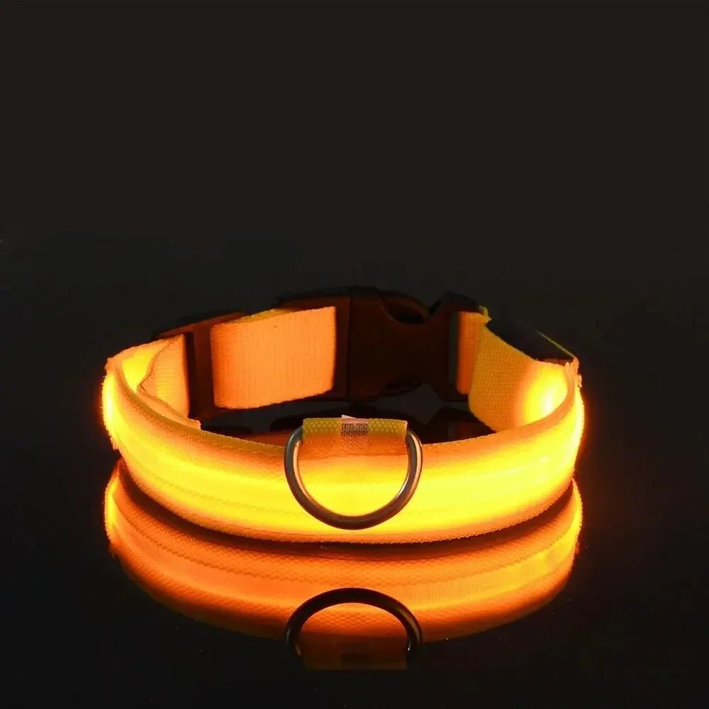 Visible LED Dog Collar with Adjustable Strap
