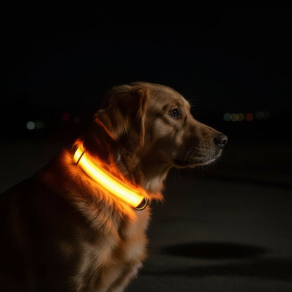 Visible LED Dog Collar with Adjustable Strap - Cofik