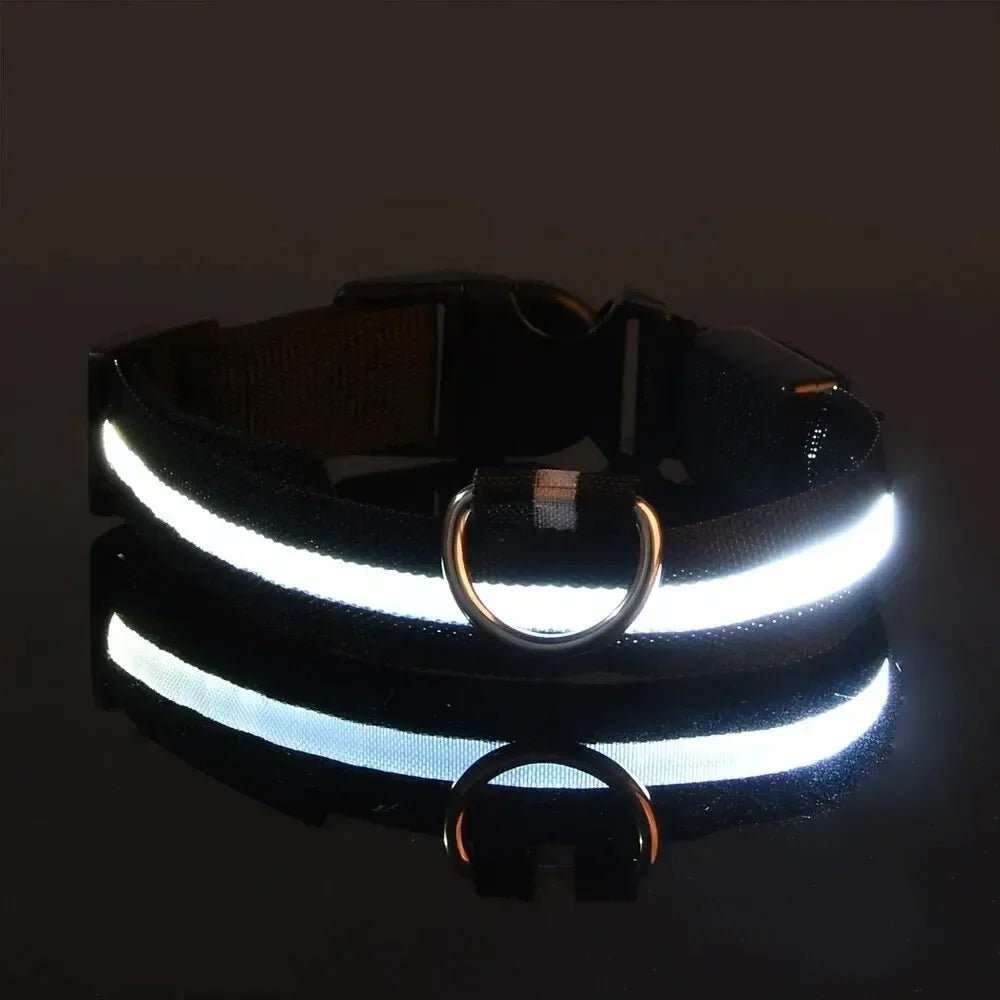 Visible LED Dog Collar with Adjustable Strap