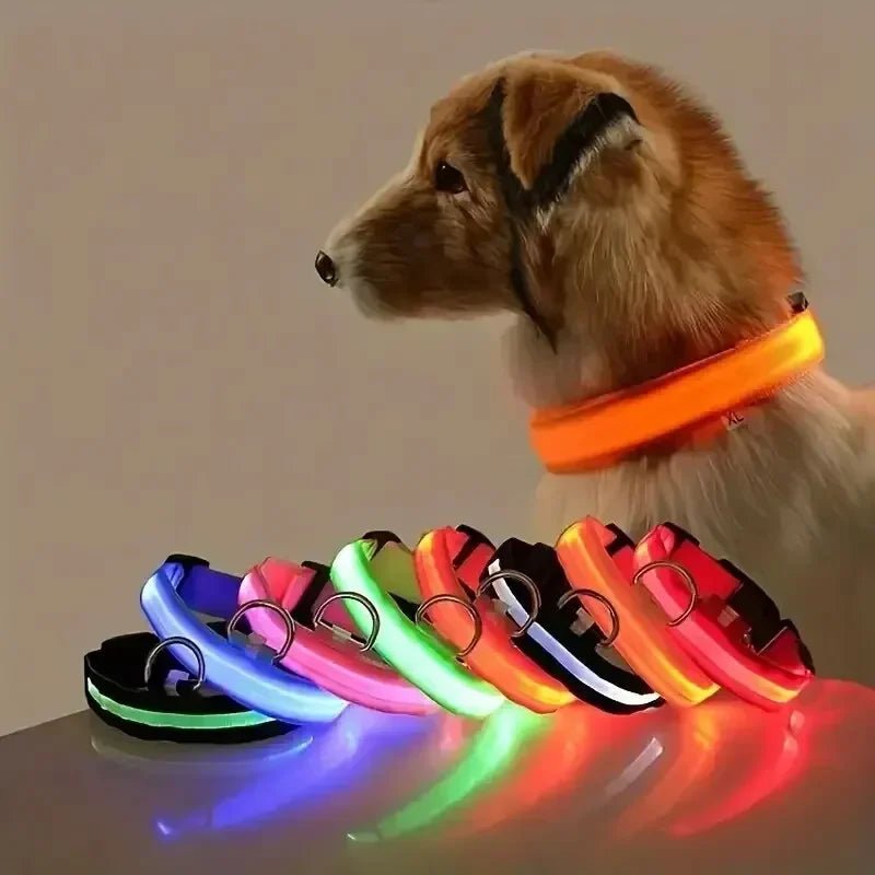 Visible LED Dog Collar with Adjustable Strap