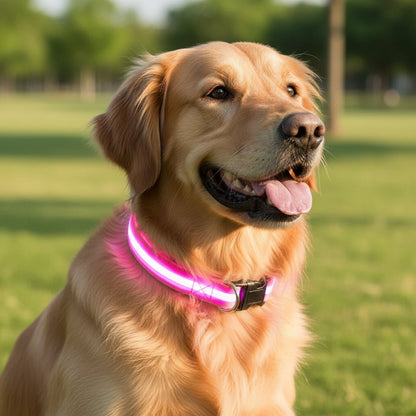 Visible LED Dog Collar with Adjustable Strap