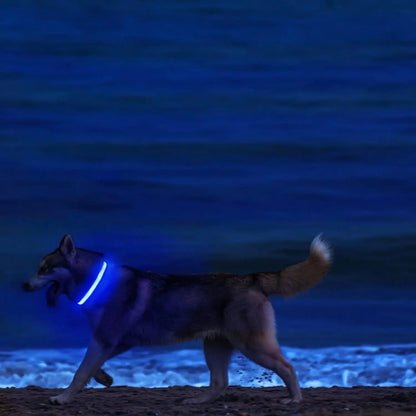 Visible LED Dog Collar with Adjustable Strap