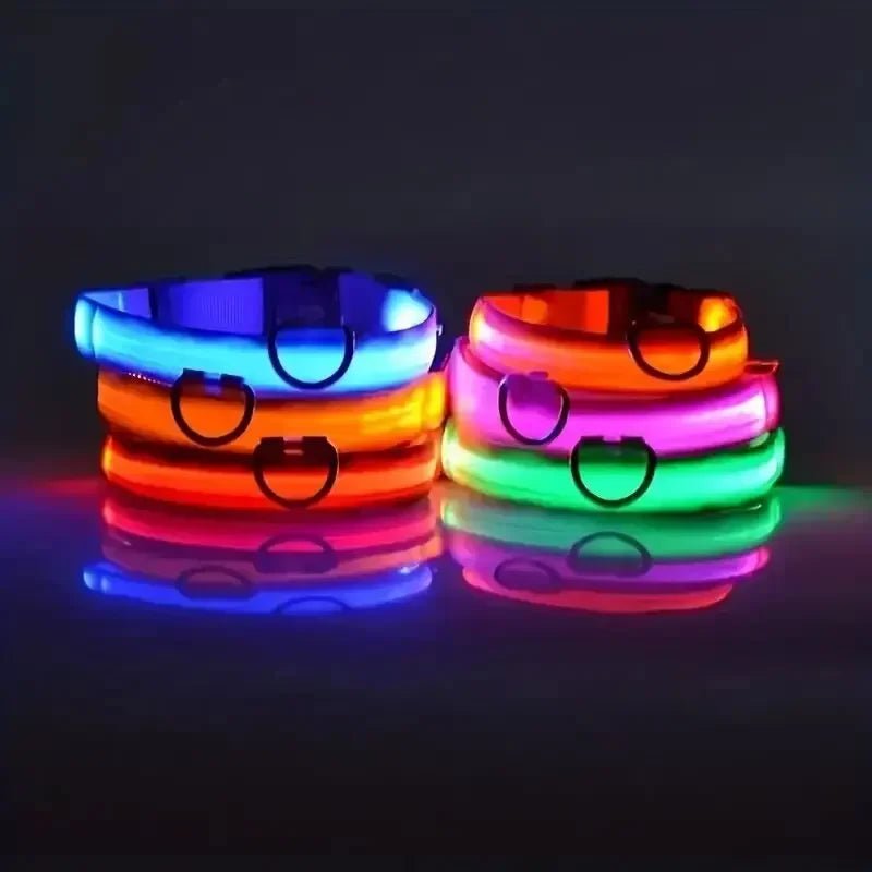 Visible LED Dog Collar with Adjustable Strap