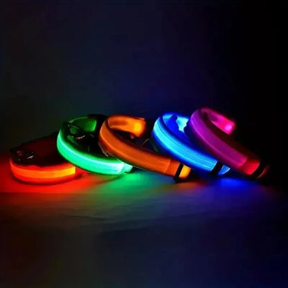 Visible LED Dog Collar with Adjustable Strap