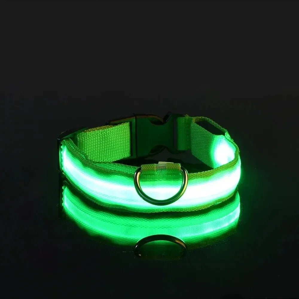 Visible LED Dog Collar with Adjustable Strap