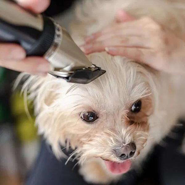 Quiet Pet Grooming Clipper Kit