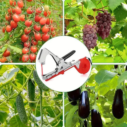 Garden Plant Tie Kit with Tape and Staples