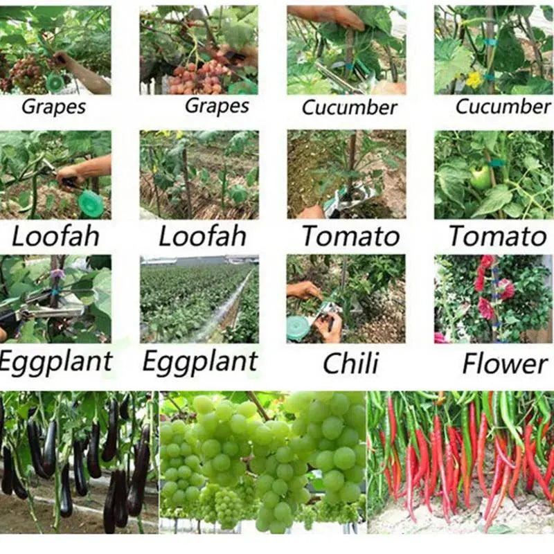 Garden Plant Tie Kit with Tape and Staples