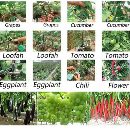 Garden Plant Tie Kit with Tape and Staples