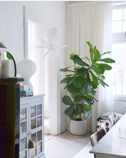 Warm Desk Table Lamp | Cofik