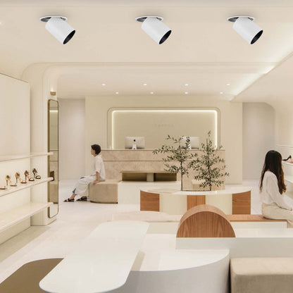 Bright Adjustable LED Ceiling Lamp