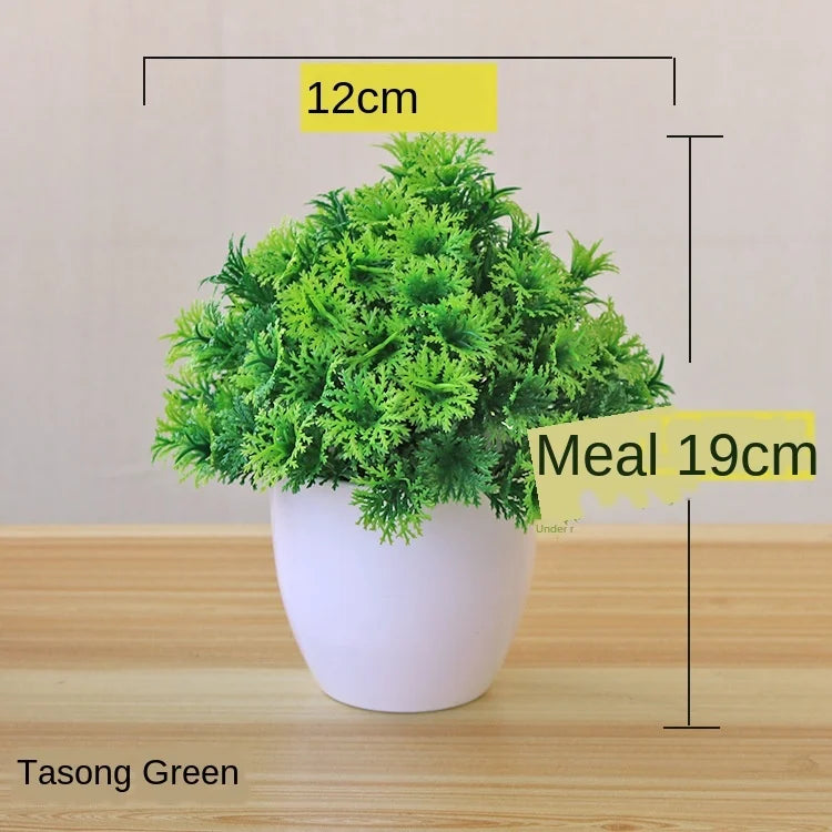 Mini Indoor Bonsai Tree Planter