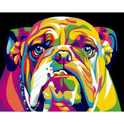 Colorful Pet Art Kit