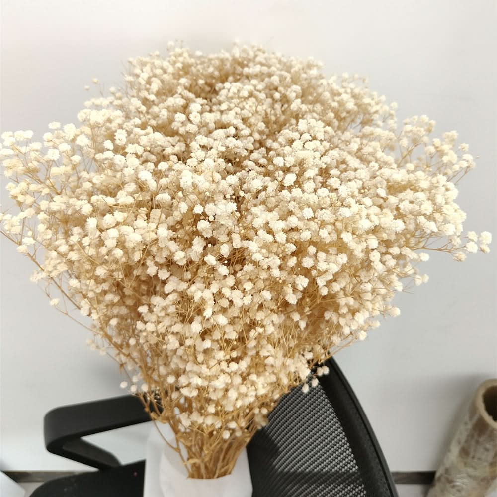 Fresh Real Air Dried Baby's Breath Flower Arrangement - Cofik
