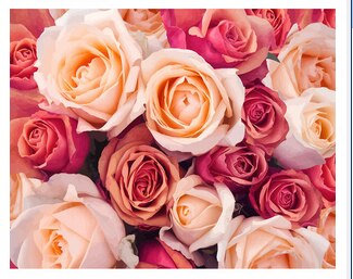 Colorful Flower Art Kit