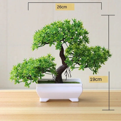 Mini Indoor Bonsai Tree Planter