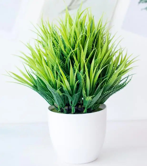 Mini Indoor Bonsai Tree Planter