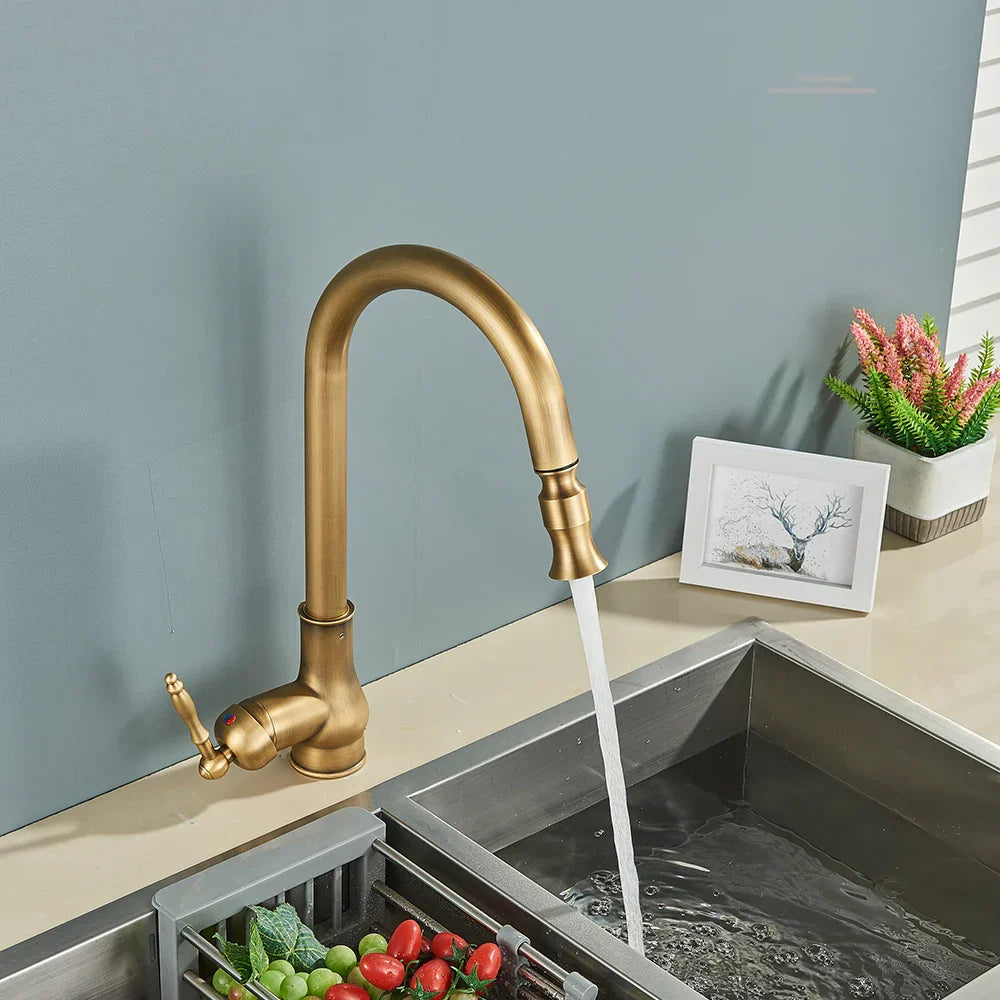 Classic Brass Kitchen Faucet