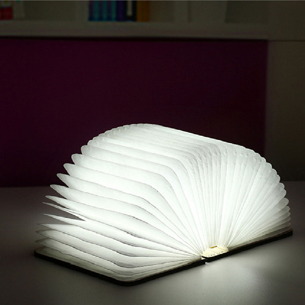 Compact LED Desk Lamp with Adjustable Light
