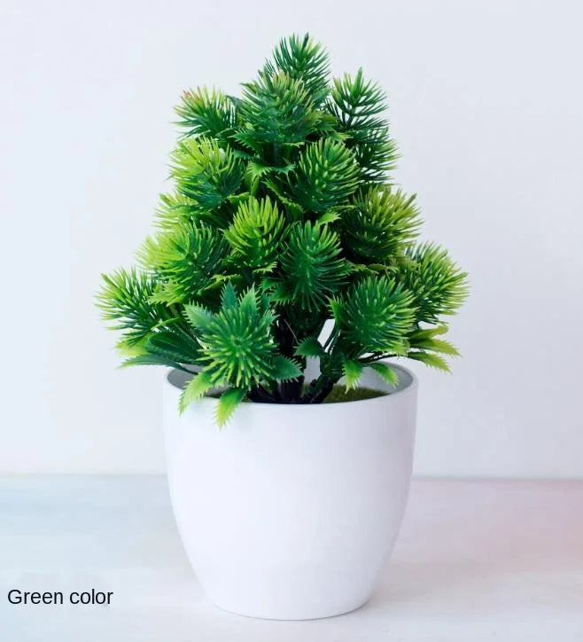 Mini Indoor Bonsai Tree Planter