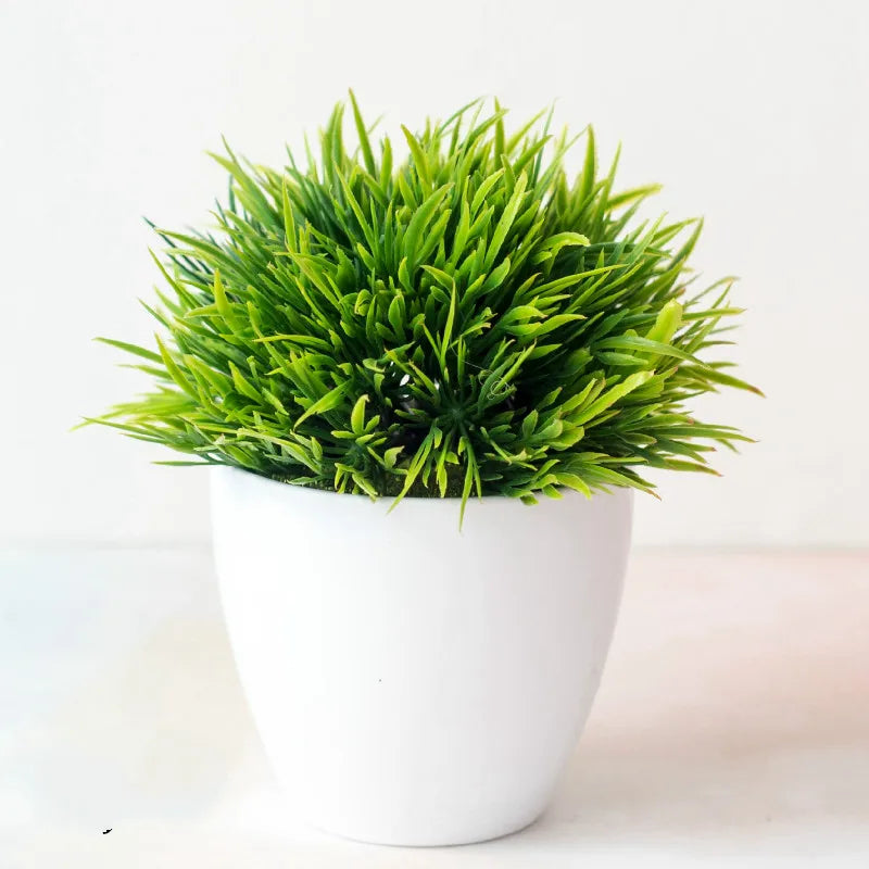 Mini Indoor Bonsai Tree Planter