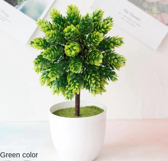 Mini Indoor Bonsai Tree Planter