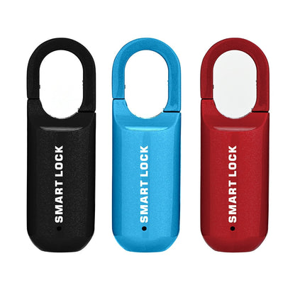 Compact Secure Smart Fingerprint Lock