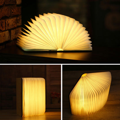 Compact LED Desk Lamp with Adjustable Light