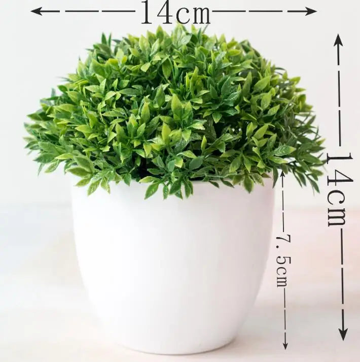 Mini Indoor Bonsai Tree Planter - Cofik
