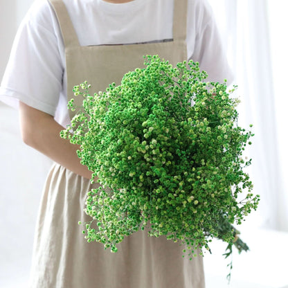 Fresh Real Air Dried Baby's Breath Flower Arrangement