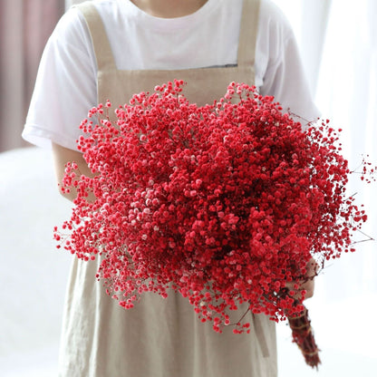 Fresh Real Air Dried Baby's Breath Flower Arrangement