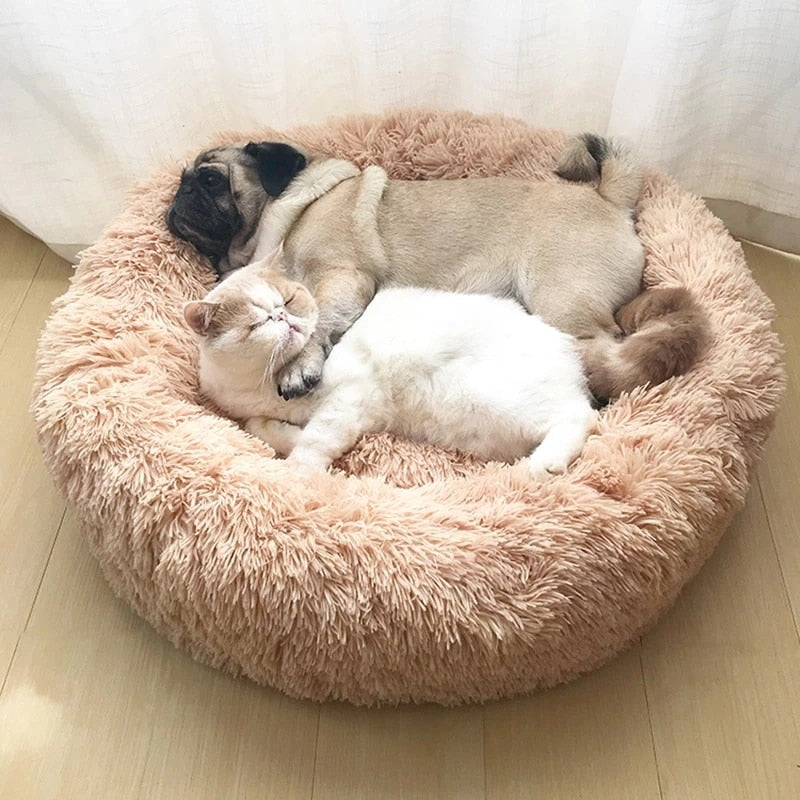 Comfy Pet Dog Couch - Cofik