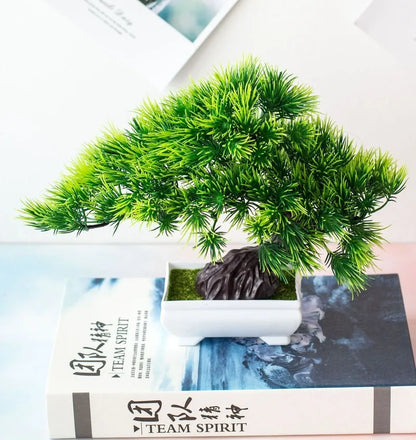 Mini Indoor Bonsai Tree Planter