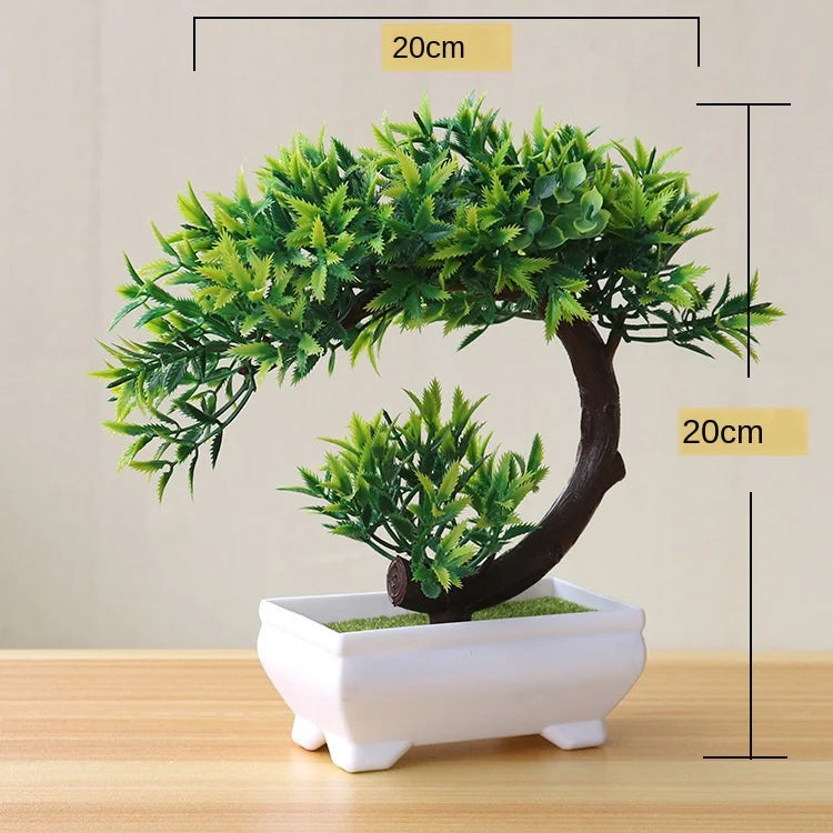 Mini Indoor Bonsai Tree Planter