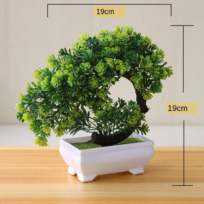 Mini Indoor Bonsai Tree Planter